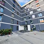 Rent 3 bedroom apartment of 60 m² in Bielsko-Biała