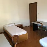 Rent a room in bologna