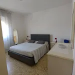 Rent 4 bedroom apartment of 65 m² in Grosseto