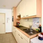 Rent 1 bedroom apartment in Gent