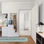 Rent 1 bedroom apartment of 40 m² in Berlin