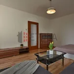 Rent 2 bedroom apartment of 38 m² in České Budějovice