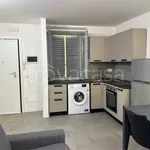 Rent 2 bedroom apartment of 40 m² in Modena