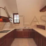 Rent 3 bedroom apartment of 110 m² in Prague