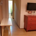 Rent 3 bedroom apartment in Milan