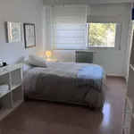 Habitación en Petrer