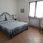 Rent 8 bedroom apartment of 220 m² in Capoliveri