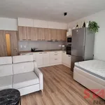 Rent 1 bedroom apartment in Pilsen