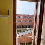 Rent 3 bedroom apartment of 75 m² in Siena