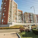 Pronajměte si 3 ložnic/e byt o rozloze 87 m² v Praha