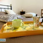 Rent 3 bedroom apartment of 60 m² in Palermo