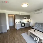 Pronajměte si 2 ložnic/e byt o rozloze 41 m² v Olomouc