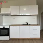 Rent 2 bedroom apartment of 47 m² in Trhový Štěpánov