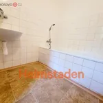 Rent 3 bedroom apartment of 53 m² in Trhový Štěpánov