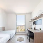 Rent a room in barcelona