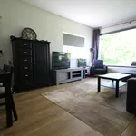 Rent 3 bedroom apartment of 80 m² in Amsterdam