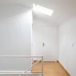 Rent 5 bedroom apartment in Lisbon