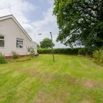 Rent 3 bedroom house in Mid Devon