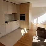 Rent 2 bedroom apartment of 25 m² in Basel