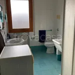 Rent 5 bedroom apartment of 85 m² in Padova