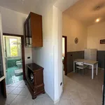 Rent 2 bedroom apartment of 42 m² in Roma