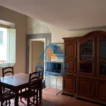 Rent 3 bedroom apartment of 70 m² in Pisa