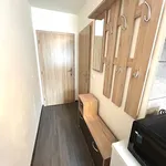 Rent 1 bedroom apartment in Praha 4