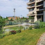 Rent 2 bedroom apartment of 61 m² in Segrate