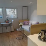 Rent 1 bedroom apartment of 484 m² in Frankfurt