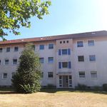 Rent 4 bedroom apartment of 63 m² in Gelsenkirchen