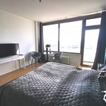 Rent 1 bedroom apartment of 37 m² in Essen