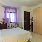 Rent 2 bedroom apartment of 80 m² in borgia