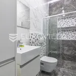 Rent 2 bedroom apartment of 63 m² in Zagreb