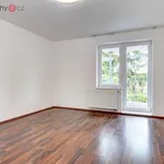 Rent 4 bedroom apartment of 120 m² in Brno