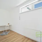 Rent 2 bedroom apartment of 60 m² in Prague