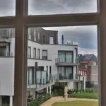 Rent 2 bedroom apartment in Dendermonde