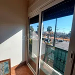 Rent 2 bedroom apartment of 50 m² in Napoli