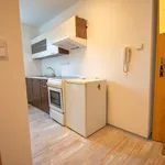 Rent 2 bedroom apartment in Trutnov