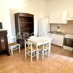 Rent 2 bedroom apartment of 45 m² in Roma