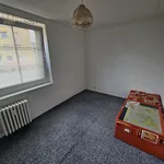 Rent 4 bedroom apartment of 7593 m² in Teplice