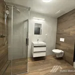 Pronájem bytu 1+kk 38m²