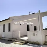 Rent 2 bedroom house of 50 m² in Marsala