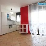 Rent 2 bedroom apartment of 36 m² in Novara