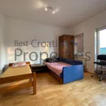 Rent 1 bedroom apartment of 70 m² in City of Zagreb