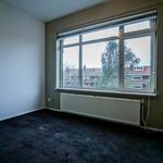 Rent a room of 184 m² in Den Haag