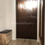 Rent 3 bedroom apartment of 98 m² in Turin