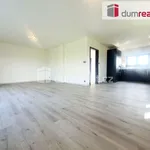 Rent 1 bedroom house of 340 m² in Křenek