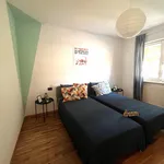 Rent 1 bedroom apartment in Trento