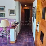 Rent 1 bedroom house of 130 m² in Orbetello