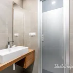 Rent 2 bedroom apartment in Praha 5